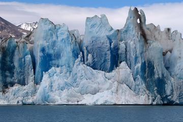 Viedma Glacier