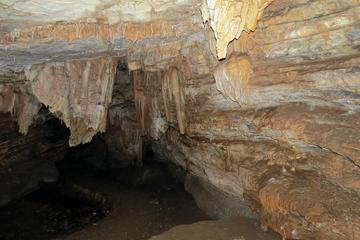 Vjetrenica Cave