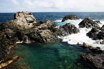 Natural Pool