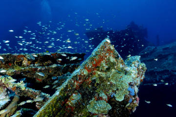 Antilla Shipwreck