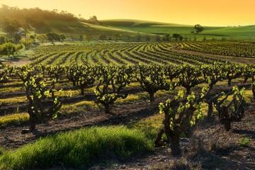 Barossa Valley