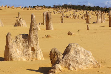 Pinnacles Desert