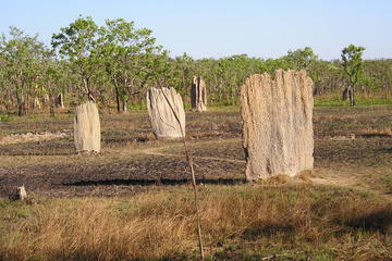 Litchfield National Park