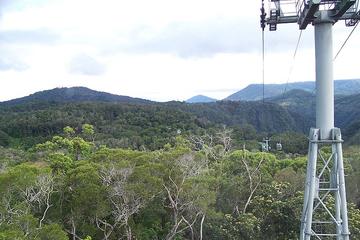 Skyrail Cableway