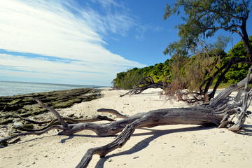 Lady Musgrave Island