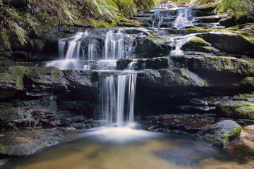 Leura