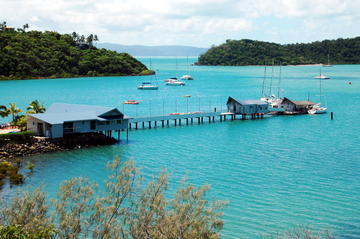 Shute Harbour