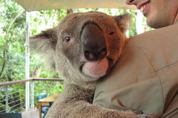 Cairns Zoo