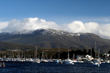 Mt. Wellington