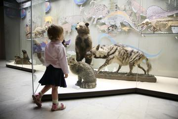 Western Australian Museum