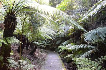 Darwin Botanic Gardens