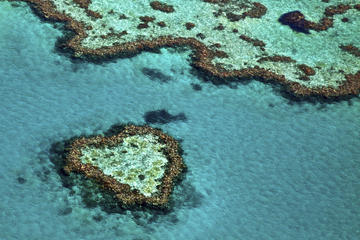 Heart Reef