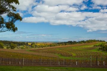 McLaren Vale Wineries