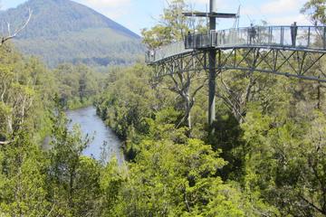 Tahune Forest AirWalk