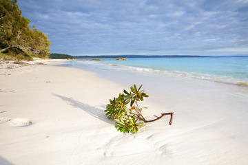 Jervis Bay