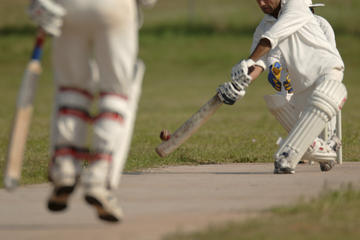 Ashes Cricket in Perth