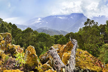 Barrington Tops National Park