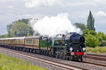 Cockle Train