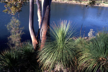 Garigal National Park