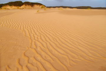 Henty Sand Dunes