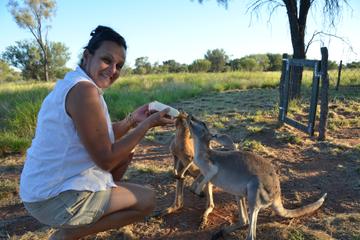 Kangaroo Sanctuary