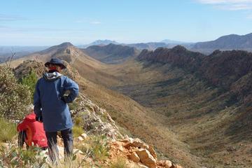 Larapinta Trail