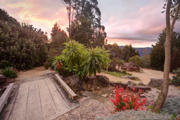 Mt Tomah Botanic Gardens