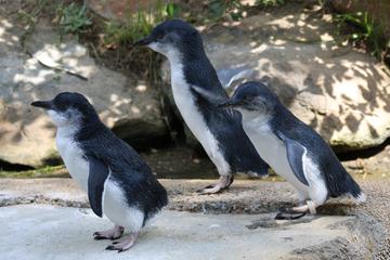 National Zoo & Aquarium