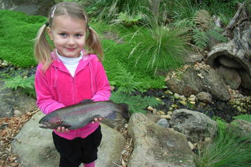 Rhyll Trout and Bush Tucker Farm