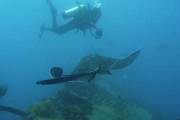 SS Yongala Dive Site