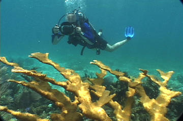 Peterson Cay National Park