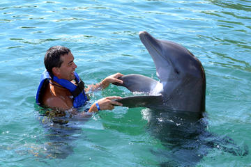 Dolphin Cay Atlantis