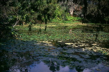 Rand Memorial Nature Center