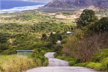 Cherry Tree Hill