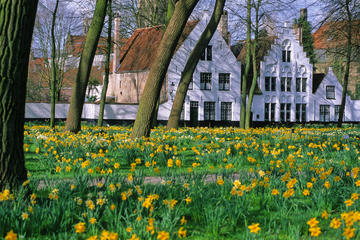 Beguinage (Begijnhof)