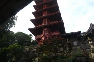 Chinese and Japanese Towers