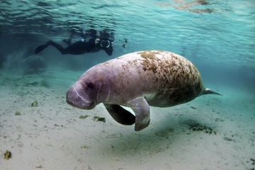 Bacalar Chico National Park and Marine Reserve