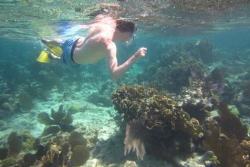 Half Moon Caye Natural Monument