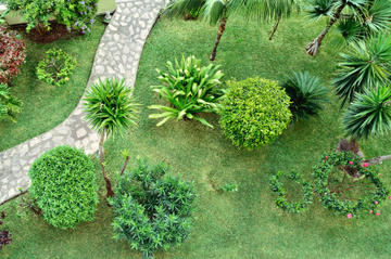 Palm Groves Garden (Gibbons Garden)