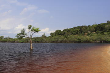 Rio Negro