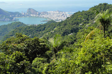 Tijuca National Park