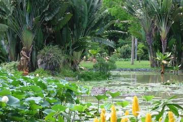 Botanical Garden (Jardim Botanico)