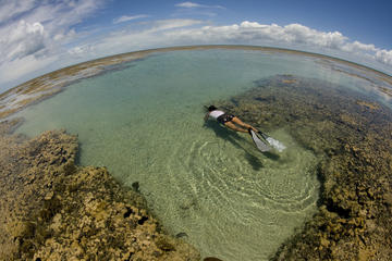 Maracajau Reef (Parrachos de Maracajau)