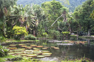 January Ecological Park