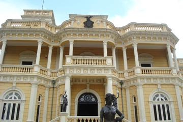 Rio Negro Palace