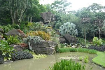 Sitio Roberto Burle Marx