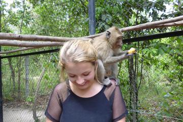 Phnom Tamao Wildlife Rescue Center