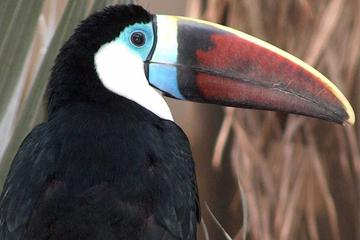 Bird Kingdom Niagara Falls