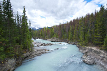 Kicking Horse River