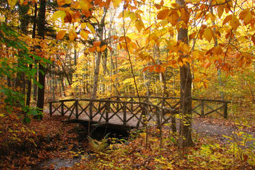 Gatineau Park